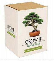 Grow it - Bonsai